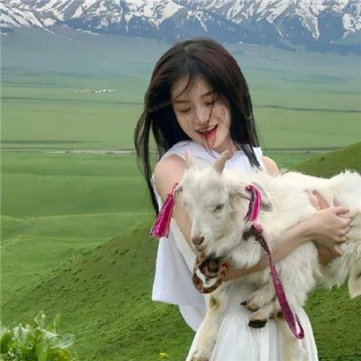 旗袍美探